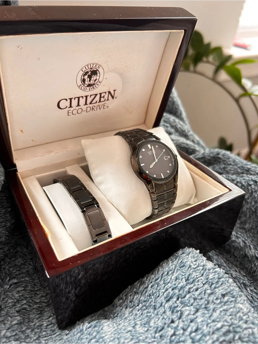 Citizen Eco-Drive Black Diamond Dial Watch